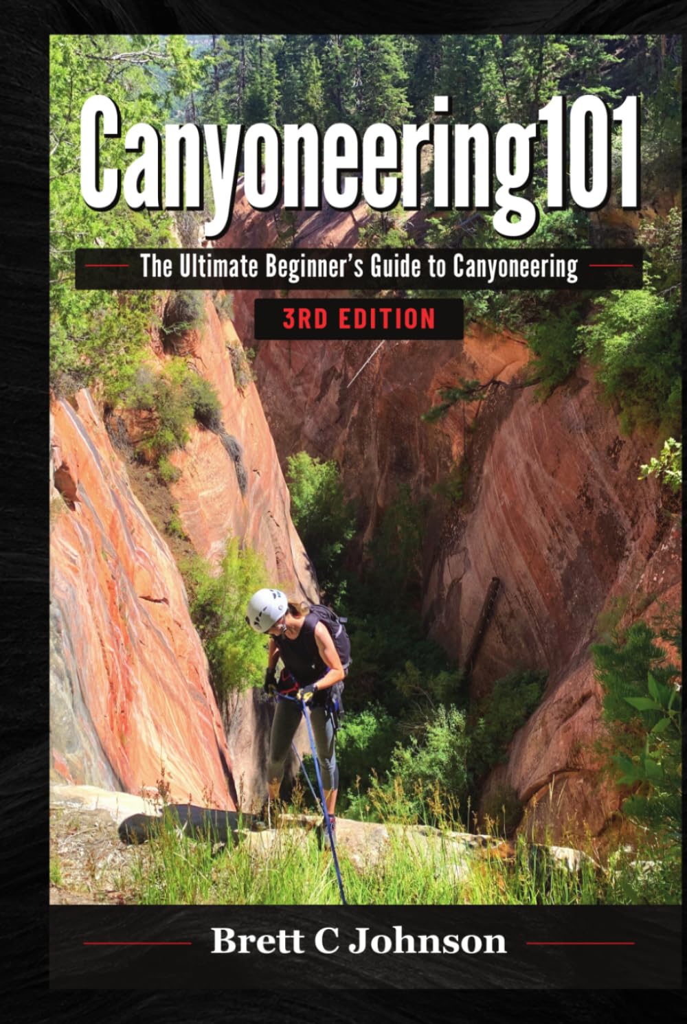 capítulo por capítulo baixar Canyoneering101: The Ultimate Beginner's Guide to Canyoneering