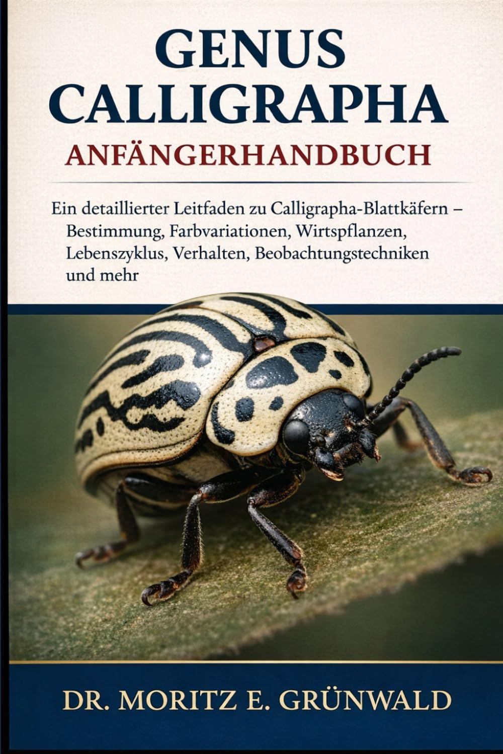 GENUS CALLIGRAPHA ANFÄNGERHANDBUCH: Ein detaillierter Leitfaden zu Calligrapha- Blattkäfern – Bestimmung, Farbvariationen, Wirtspflanzen, ... und mehr (German Edition)
