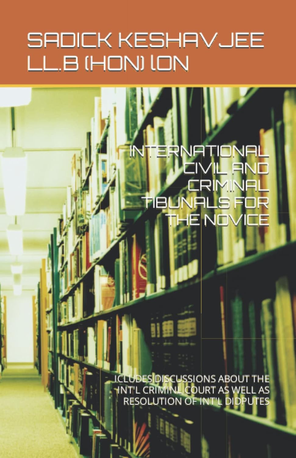 INTERNATIONAL CIVIL AND CRIMINAL TIBUNALS FOR THE NOVICE: ICLUDES DISCUSSIONS ABOUT THE INT'L CRIMINL COURT AS WELL AS RESOLUTION OF INT'L DIDPUTES... PRACTICLE LEGAL PUBLICATIONS FOR THE NOVICE) baixar o livro de graça