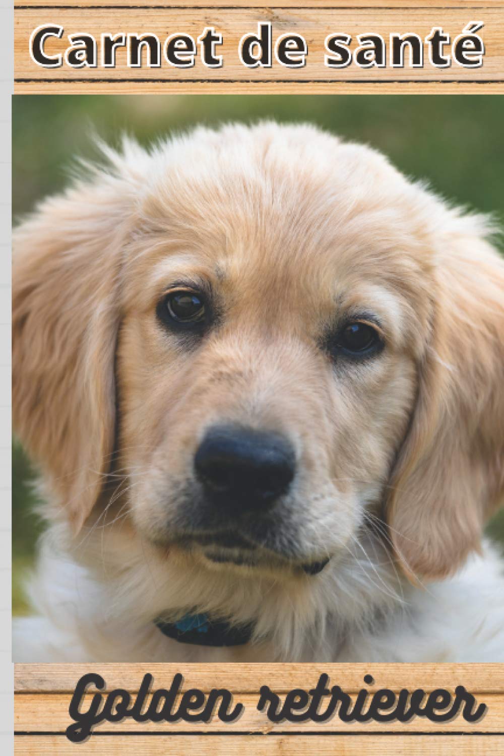 CARNET DE SANTE GOLDEN RETRIEVER: Mon cahier de suivi santé chien Golden retriever à remplir ou compléter | Mon carnet santé chien | cadeau idéal... cm sur 22,86 cm 101 pages (French Edition) baixar o livro de graça