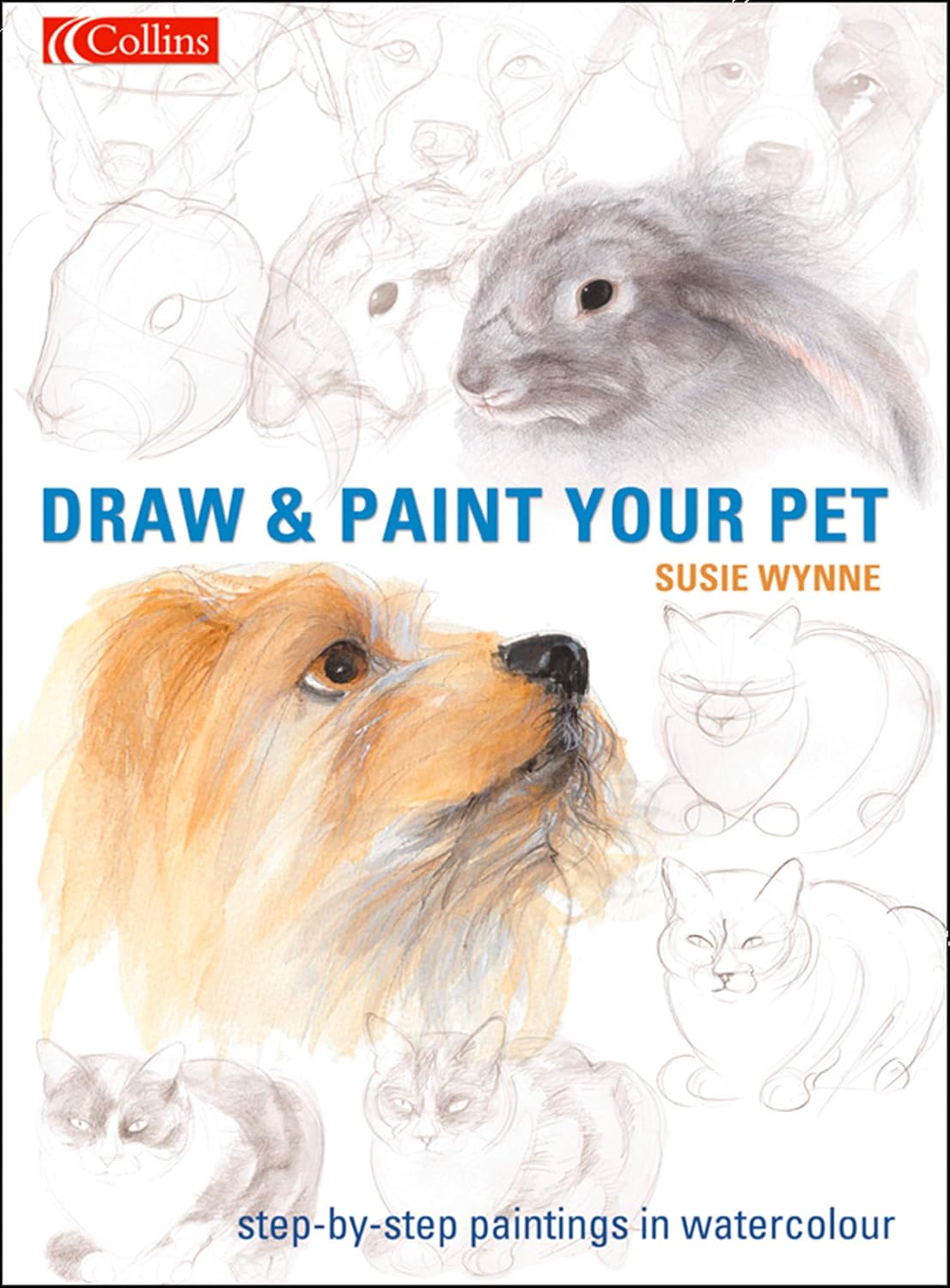 Draw and Paint your Pet: A Comprehensive Watercolour Guide to Drawing Popular Animals with Practical Techniques (English Edition) baixar o livro de graça