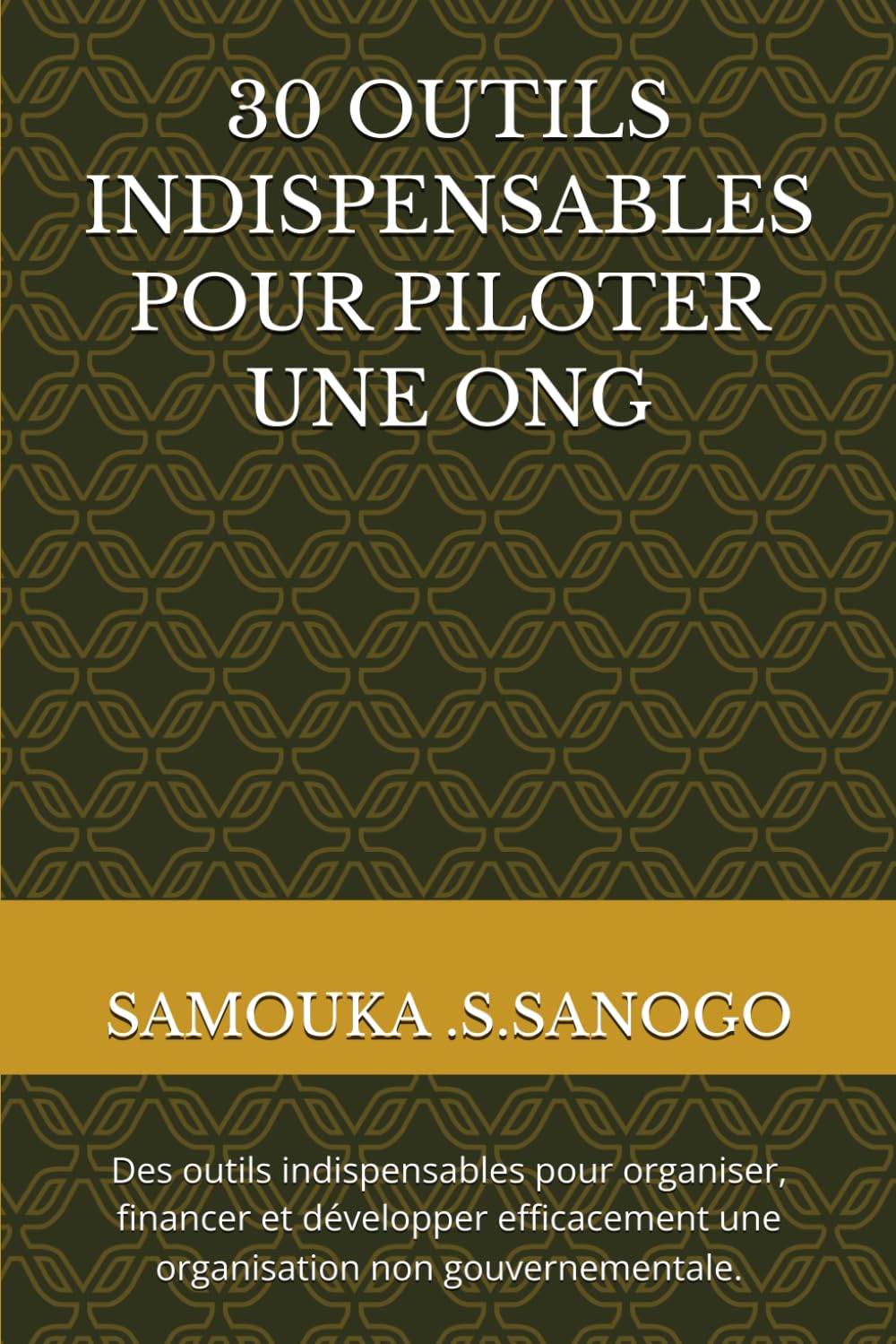 30 OUTILS INDISPENSABLES POUR PILOTER UNE ONG: Des outils indispensables pour organiser, financer et développer efficacement une organisation non... (Collection SAGO® Réussir) (French Edition) baixar livro de graça