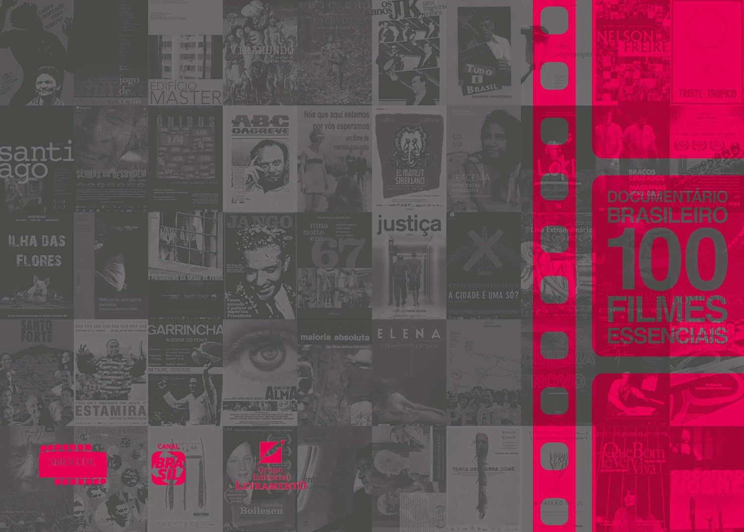Documentário Brasileiro: 100 Filmes Essenciais baixar o livro de graça