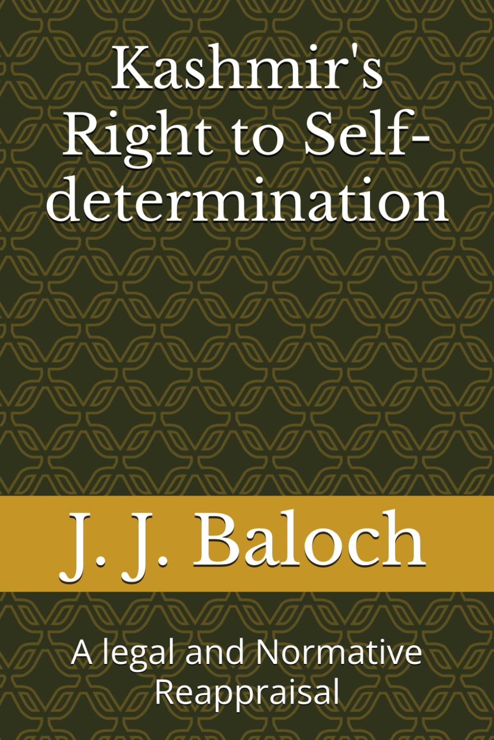 Kashmir's Right to Self-determination: A legal and Normative Reappraisal baixar o livro de graça