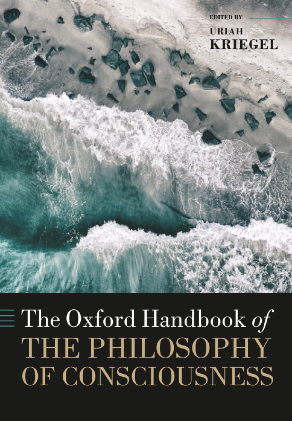 ler totalmente The Oxford Handbook of the Philosophy of Consciousness