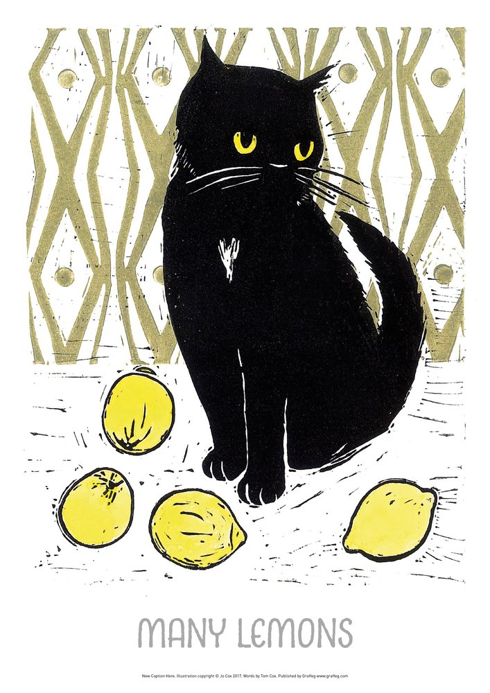 WHEN LIFE GIVES YOU LEMONS baixar livro de graça