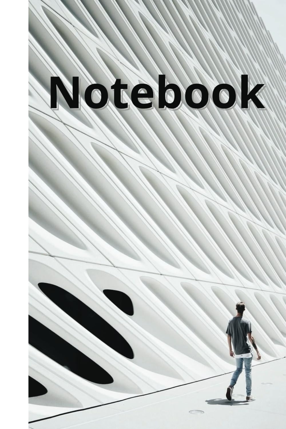 ler totalmente Notebook: Boulet Journal