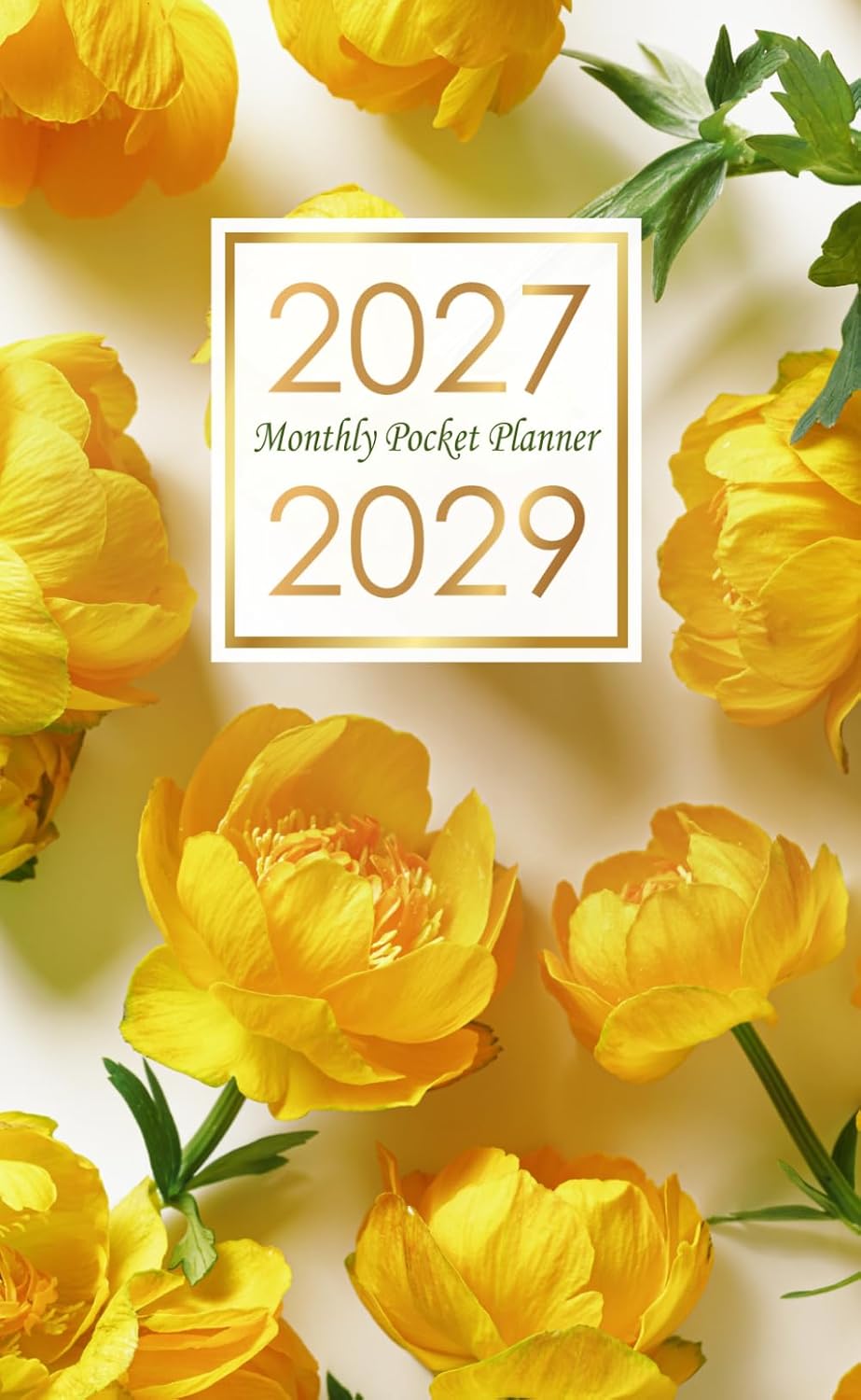 capítulo por capítulo baixar 2027-2029 Monthly Pocket Planner: Small 3-Year Appointment Book to Plan and Organize Schedules (Jan 2027 - Dec 2029), Includes Federal Holidays for Purse or Bag with Yellow Globeflower Cover