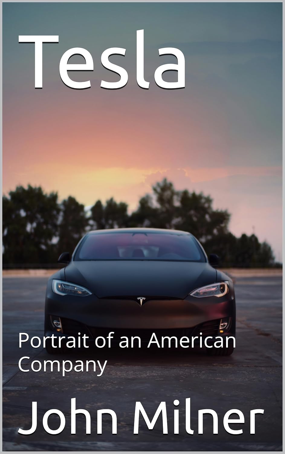 ler totalmente Tesla: Portrait of an American Company (English Edition)