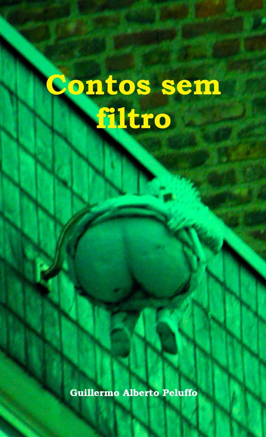 CONTOS SEM FILTRO baixar o livro de graça