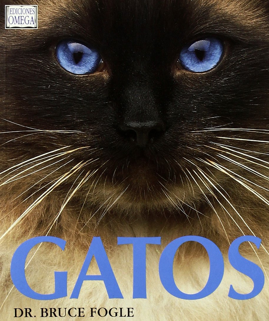 capítulo por capítulo baixar GATOS