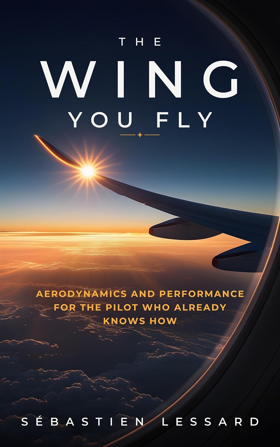 The Wing You Fly: Aerodynamics and Performance for the Pilot Who Already Knows How: A plain-language refresher for airline pilots — no formulas, no diagrams,... the Jet You Fly) (English Edition) baixar o livro de graça