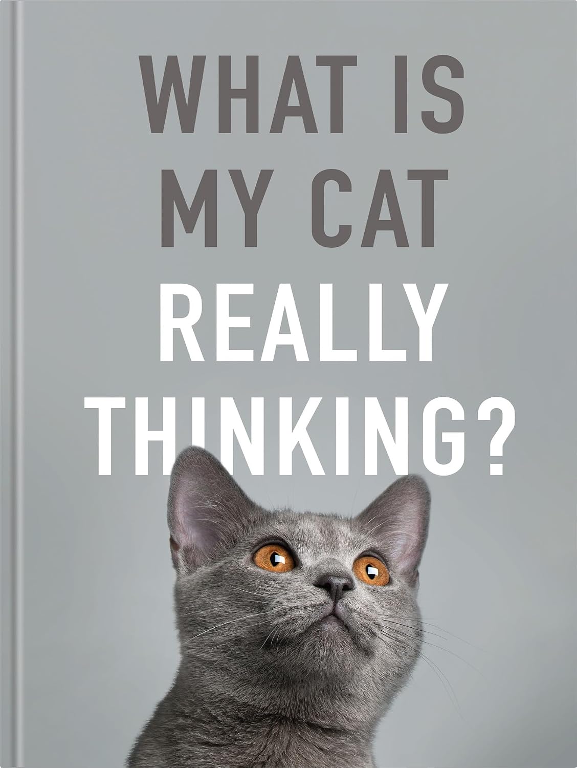What is My Cat Really Thinking?: Our Moggie's Inner Mind Explained baixar o livro de graça