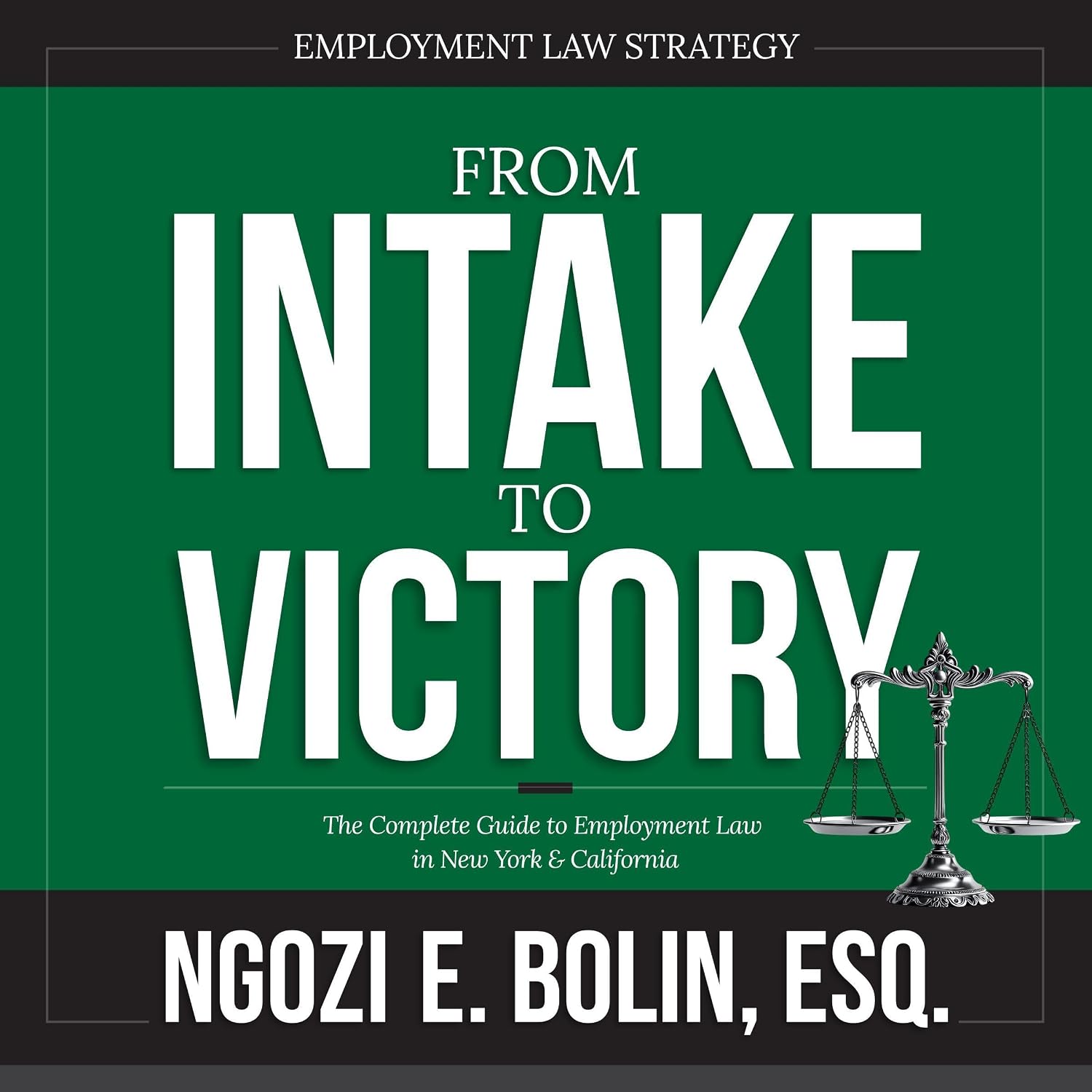 Employment Law Strategy: From Intake to Victory in New York and California baixar livro de graça