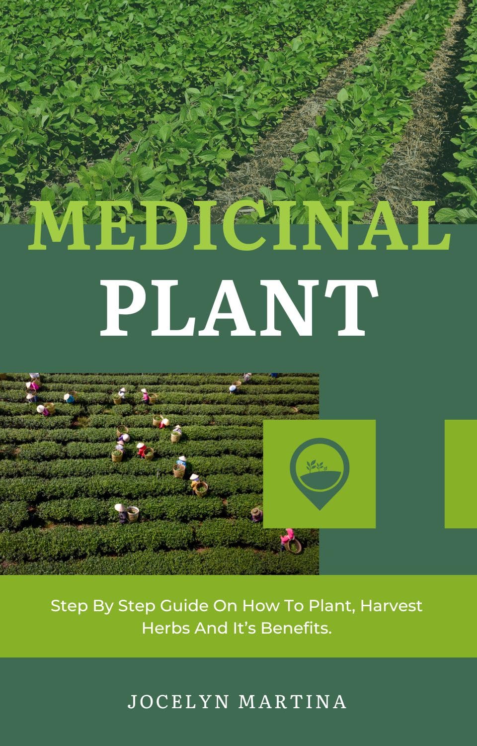 ler totalmente Medicinal Plant: Step By Step Guide On How To Plant, Harvest Herbs And It’s Benefits. (English Edition)