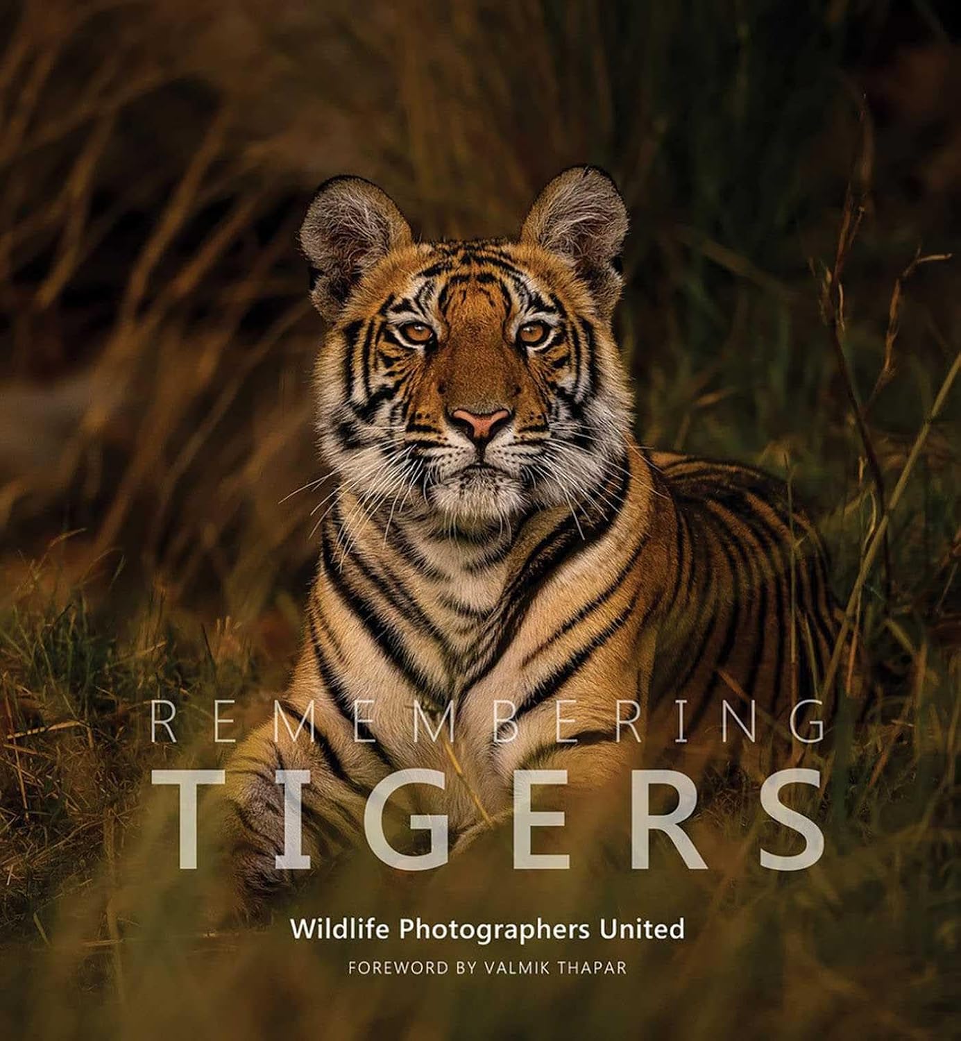 Remembering Tigers: 9 baixar o livro de graça