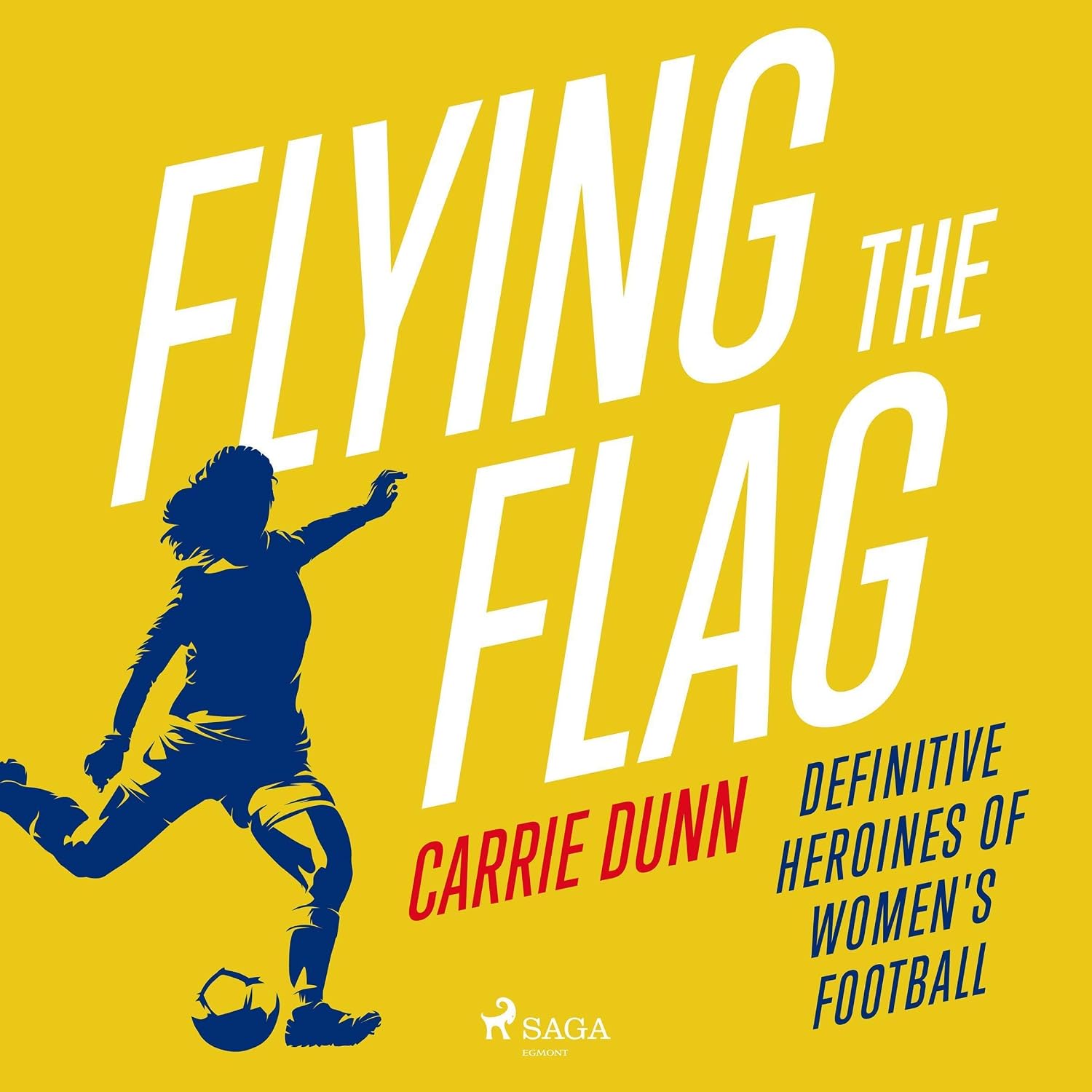 Flying the Flag: Definitive Heroines Of Women's Football baixar o livro de graça