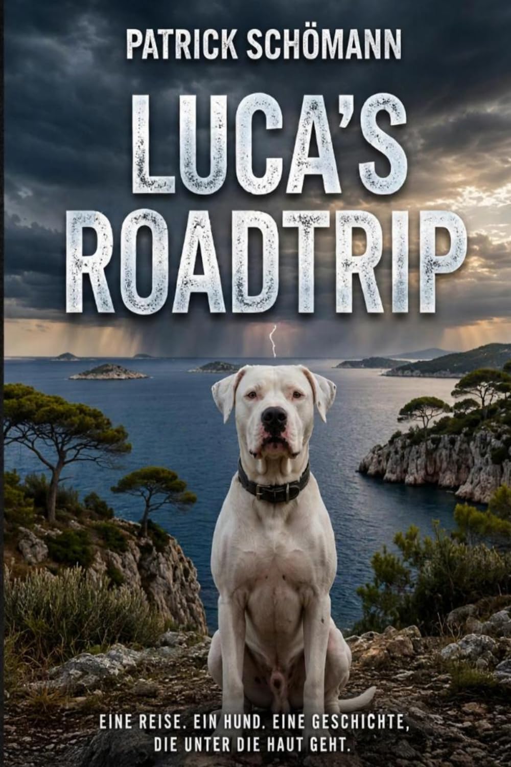 ler totalmente Luca's Roadtrip: Epilepsie beim Hund: Ein Erfahrungsbericht über Reisen und Urlaub mit epileptischen Hund (Lucas Weg durch die Epilepsie) (German Edition)