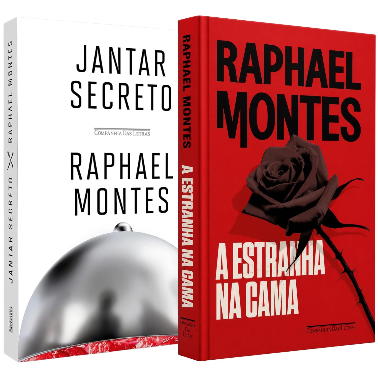 Kit A Estranha na Cama + O Jantar Secreto (Edição de Colecionador)| Raphael Montes baixar livro de graça