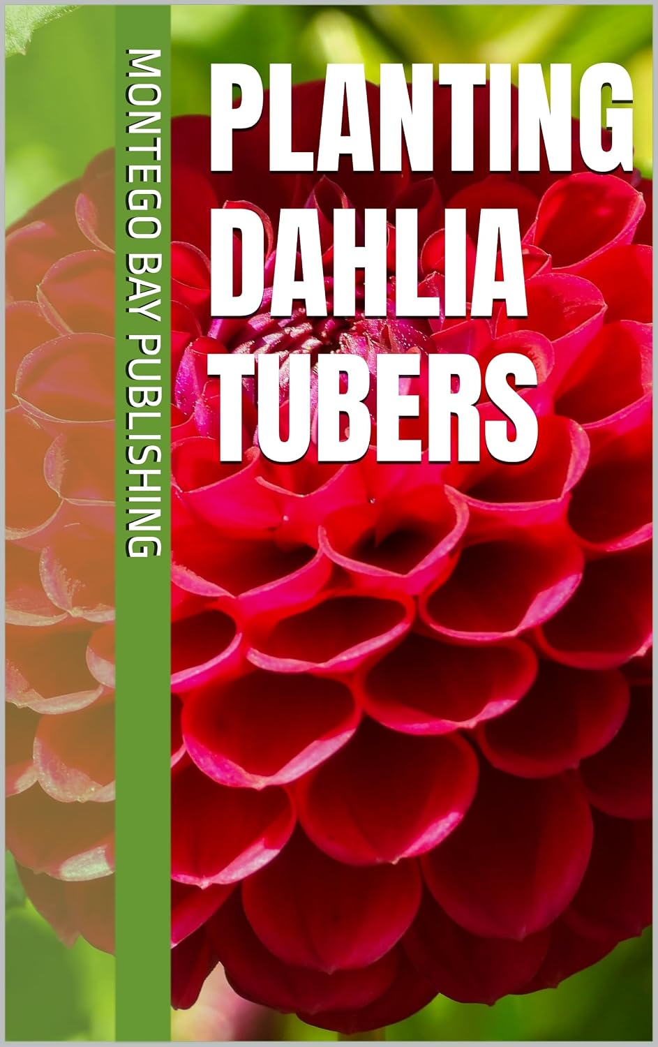 Planting Hardy Dahlia Tubers (Growing Fresh Flowers) (English Edition) baixar o livro de graça