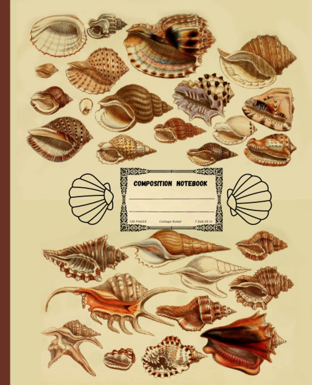 capítulo por capítulo baixar Composition Notebook: Beautiful Vintage Mollusks Shell Illustration. College Ruled, 120 Cream Pages, 7.5" x 9.25"