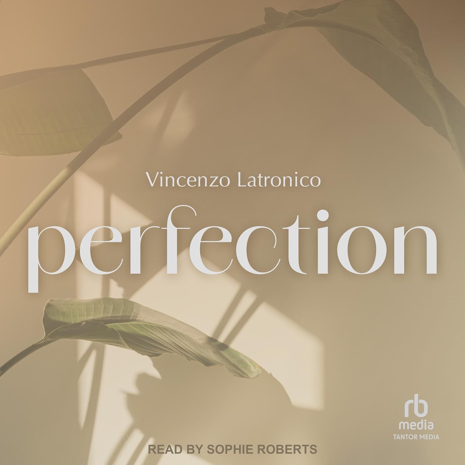 Perfection baixar livro de graça