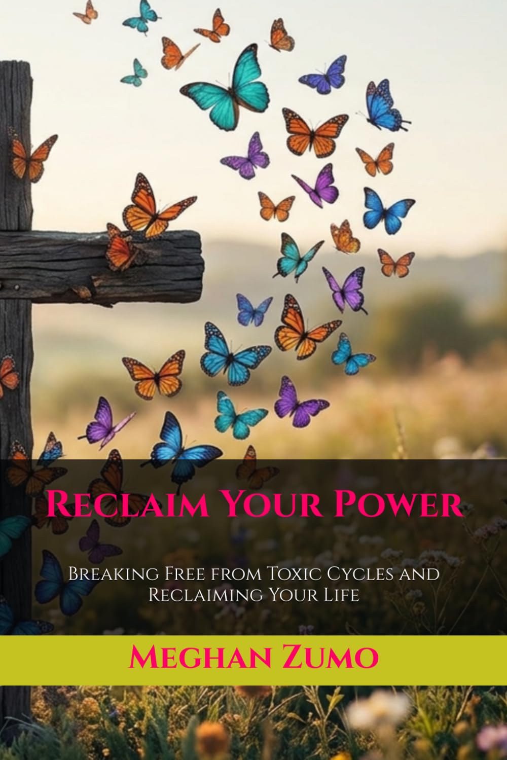 Reclaim Your Power: Breaking Free from Toxic Cycles and Reclaiming Your Life baixar o livro de graça