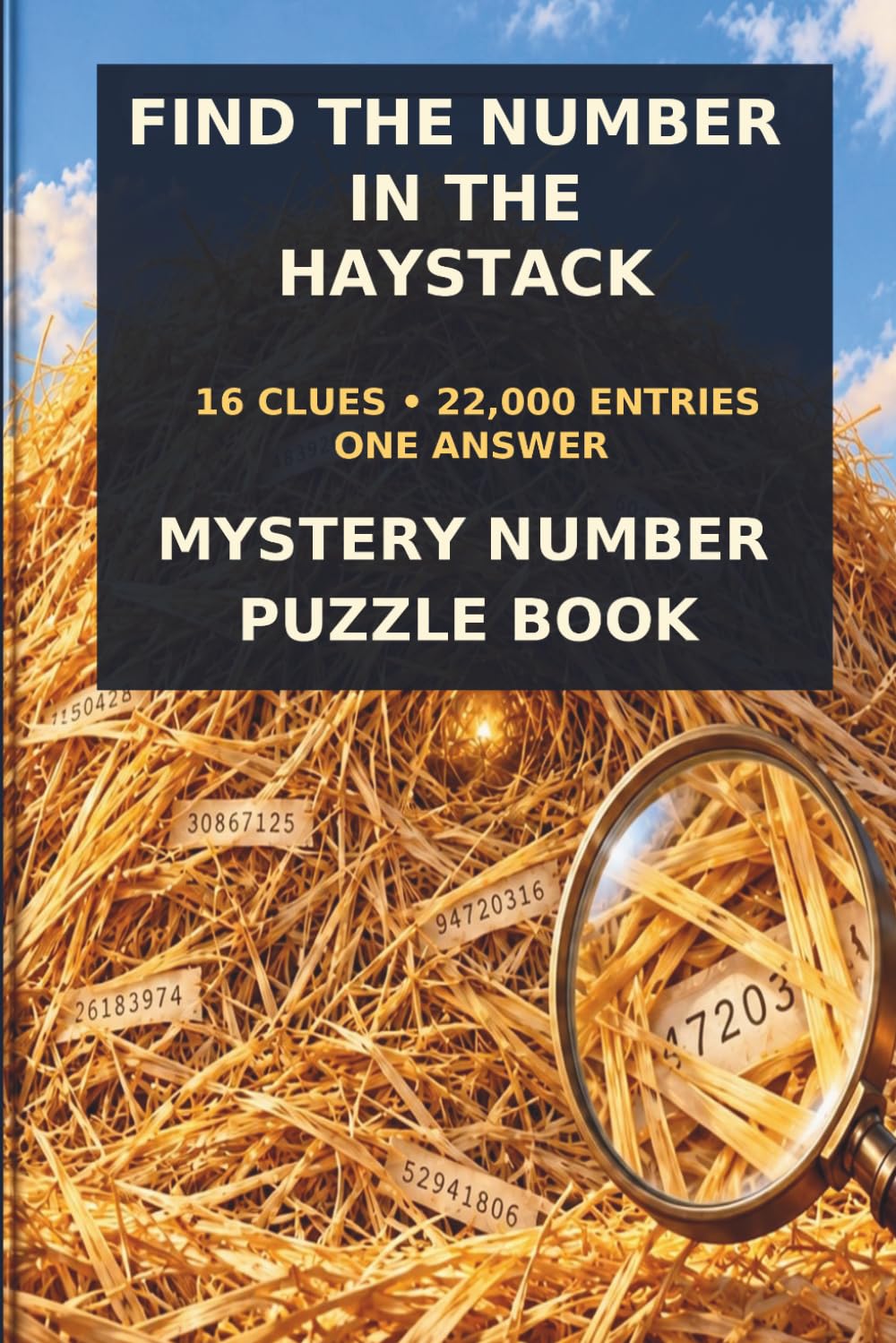 ler totalmente FIND THE NUMBER IN THE HAYSTACK 16 CLUES * 22000 ENTRIES * ONE ANSWER: MYSTERY NUMBER PUZZLE BOOK