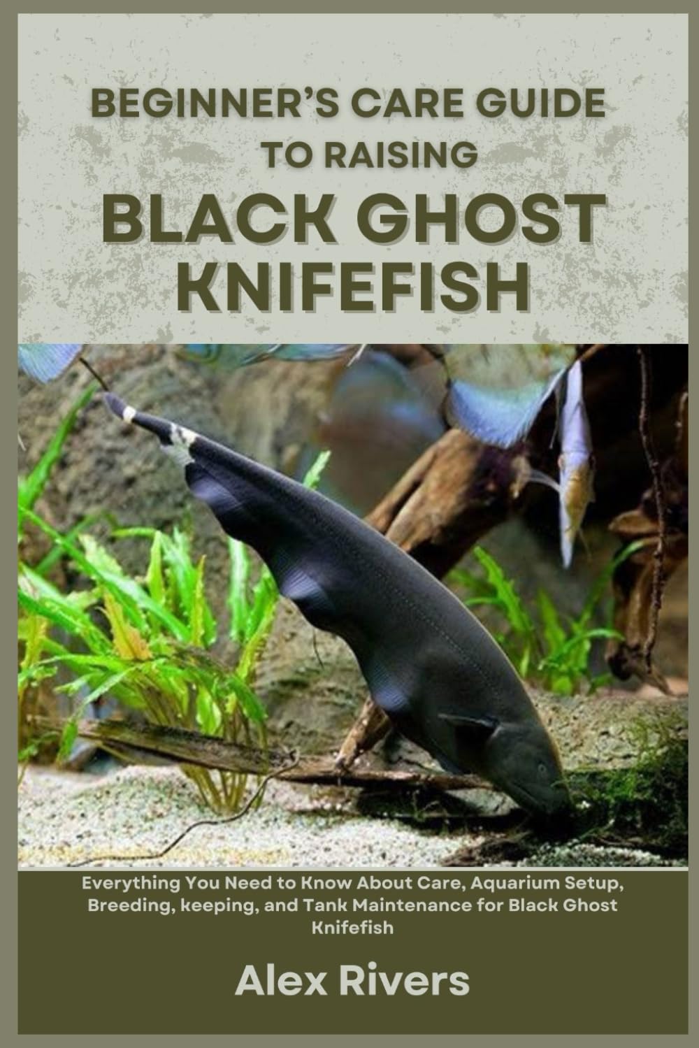 BEGINNER’S CARE GUIDE TO RAISING BLACK GHOST KNIFEFISH: Everything You Need to Know About Care, Aquarium Setup, Breeding, keeping, and Tank Maintenance for Black Ghost Knifefish baixar o livro de graça