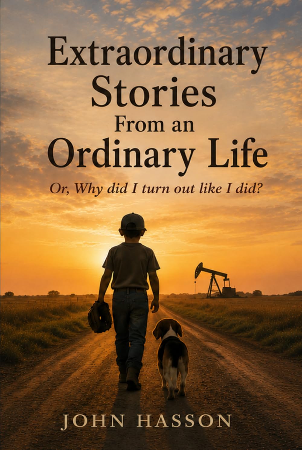 ler totalmente Extraordinary Stories From an Ordinary Life: Why did I turn out like I did?