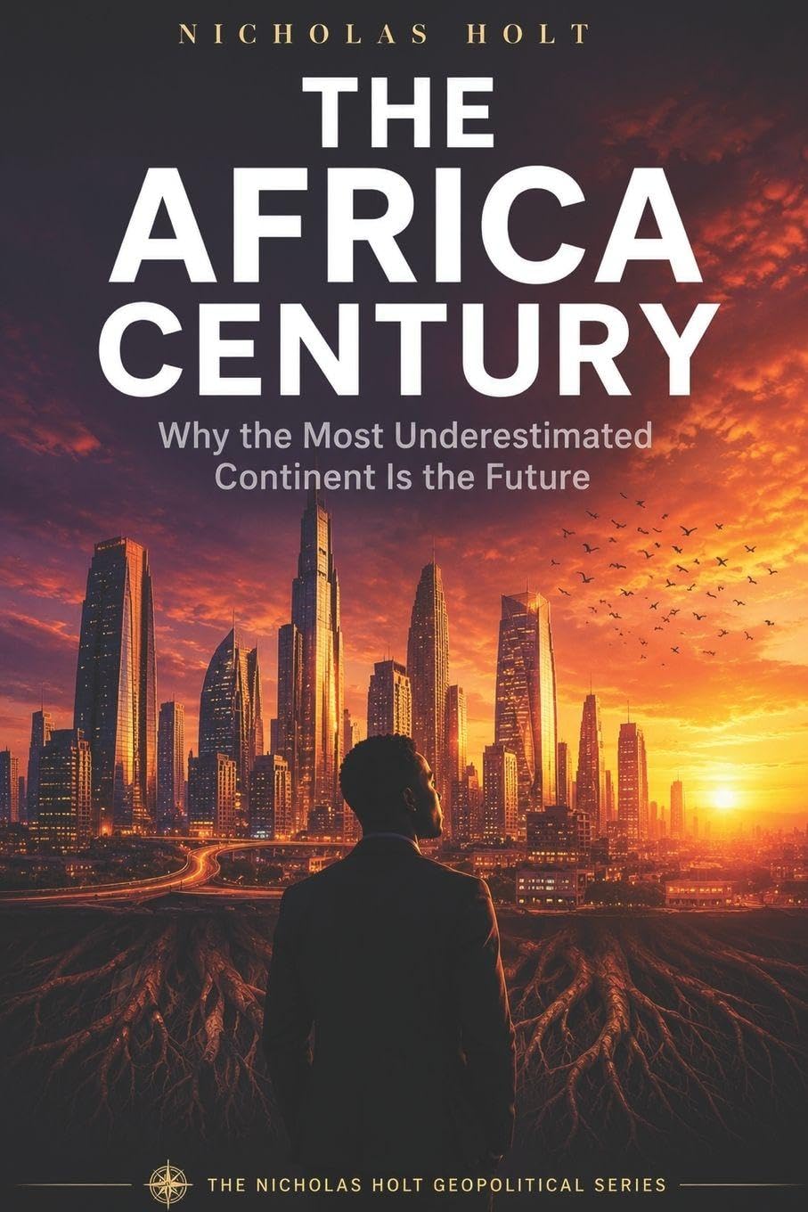 capítulo por capítulo baixar The Africa Century: Why the Most Underestimated Continent Is the Future