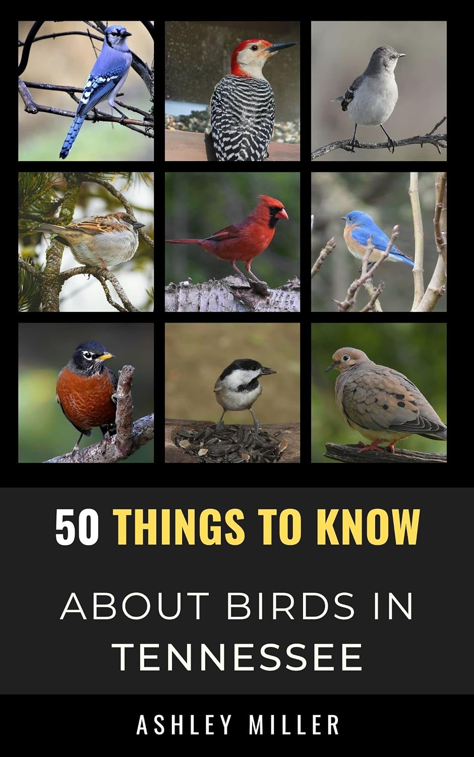 50 Things to Know About Birds in Tennessee: Birdwatching Guide, Bird Identification, Local Species, Nature Facts, Backyard Birds, & Wildlife (50 Things... and regional bird books) (English Edition) baixar livro de graça