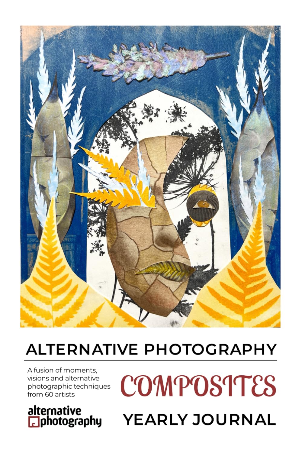 Composites Yearly Journal: A fusion of moments, visions and techniques from 60 artists in alternative photographic processes baixar o livro de graça