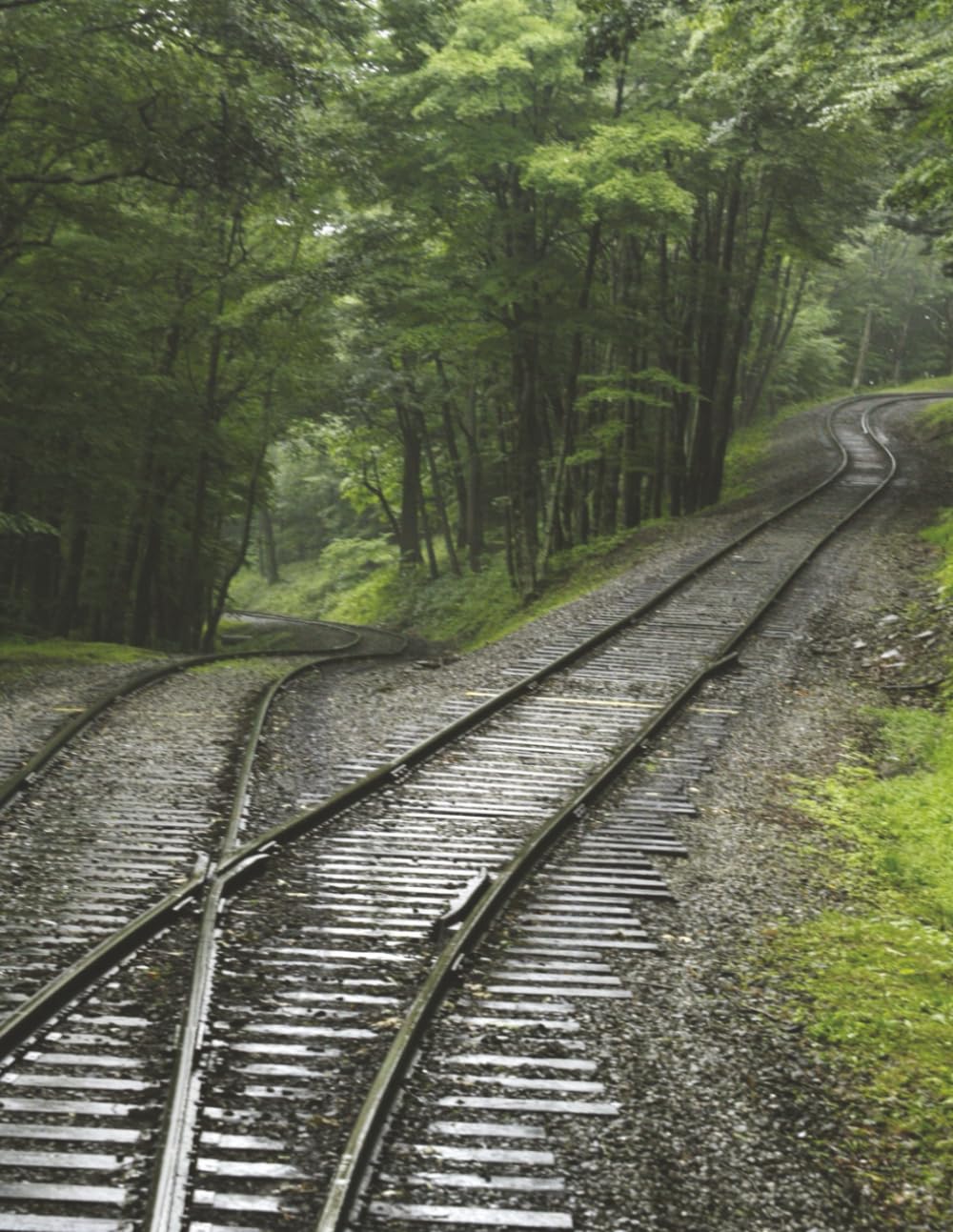 capítulo por capítulo baixar Forest Railroad Switchback Notebook: A Notebook for Train Enthusiasts