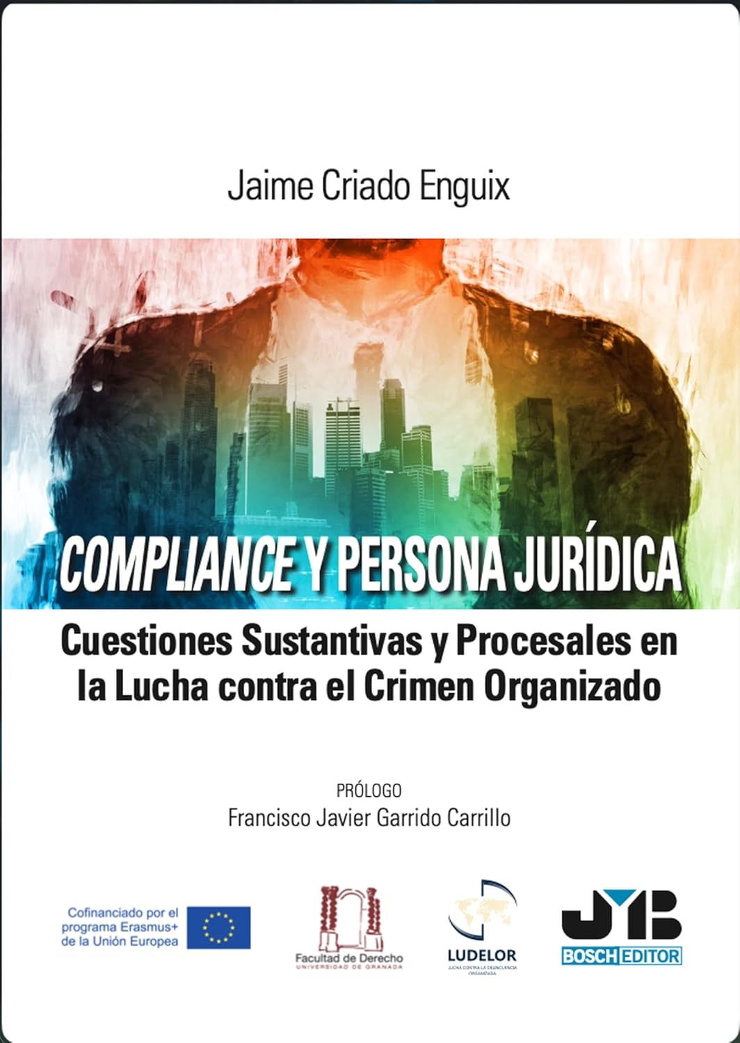 Compliance y persona jurídica: Cuestiones sustantivas y procesales en la lucha contra el crimen organizado (Spanish Edition) baixar o livro de graça