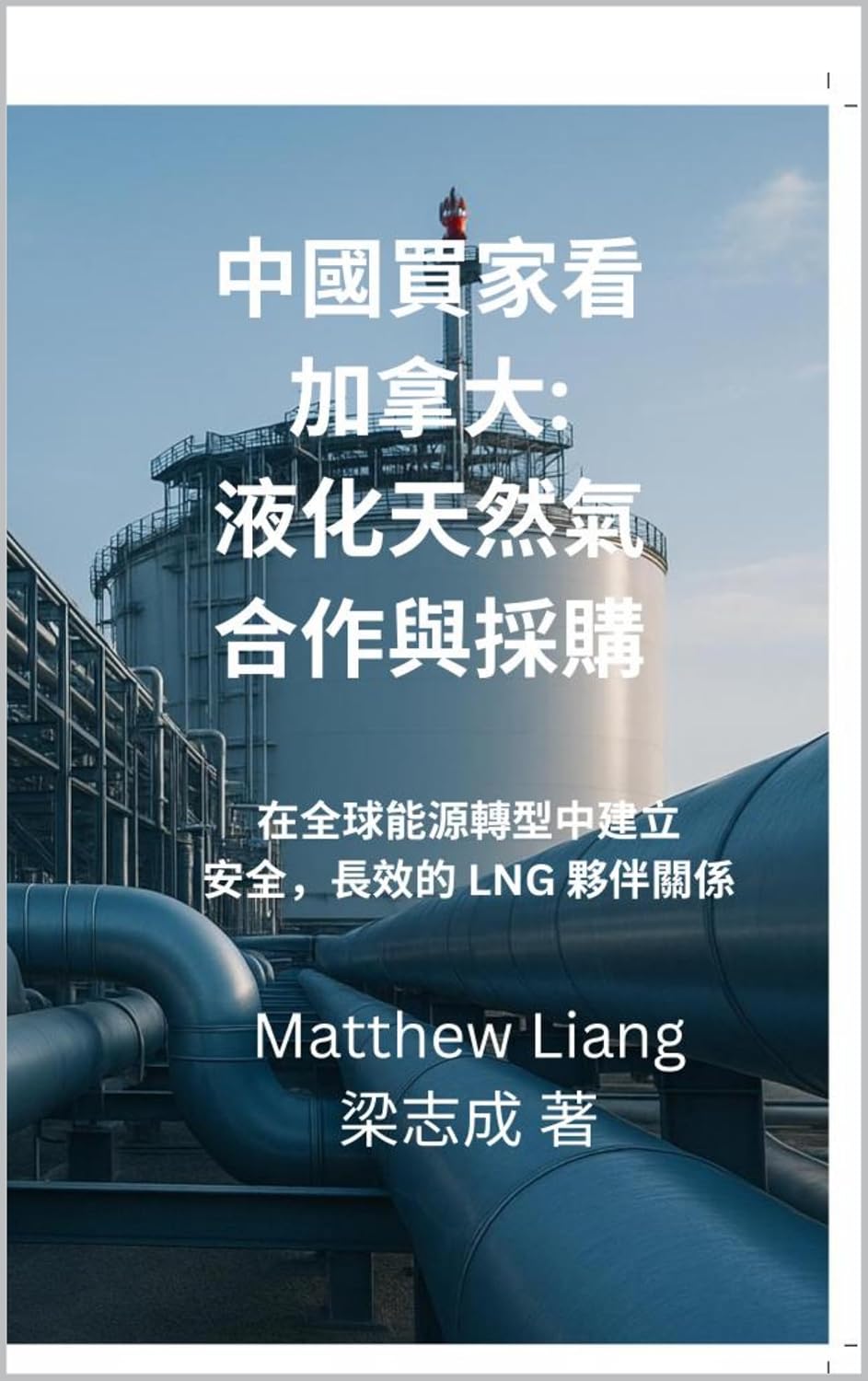 中國買家看加拿大：液化天然氣合作與採購 (English Edition) baixar livro de graça