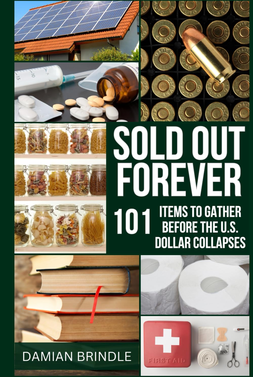 Sold Out Forever: 101 Items to Grab Before the U.S. Dollar Vanishes (The Survival Collection) baixar livro de graça