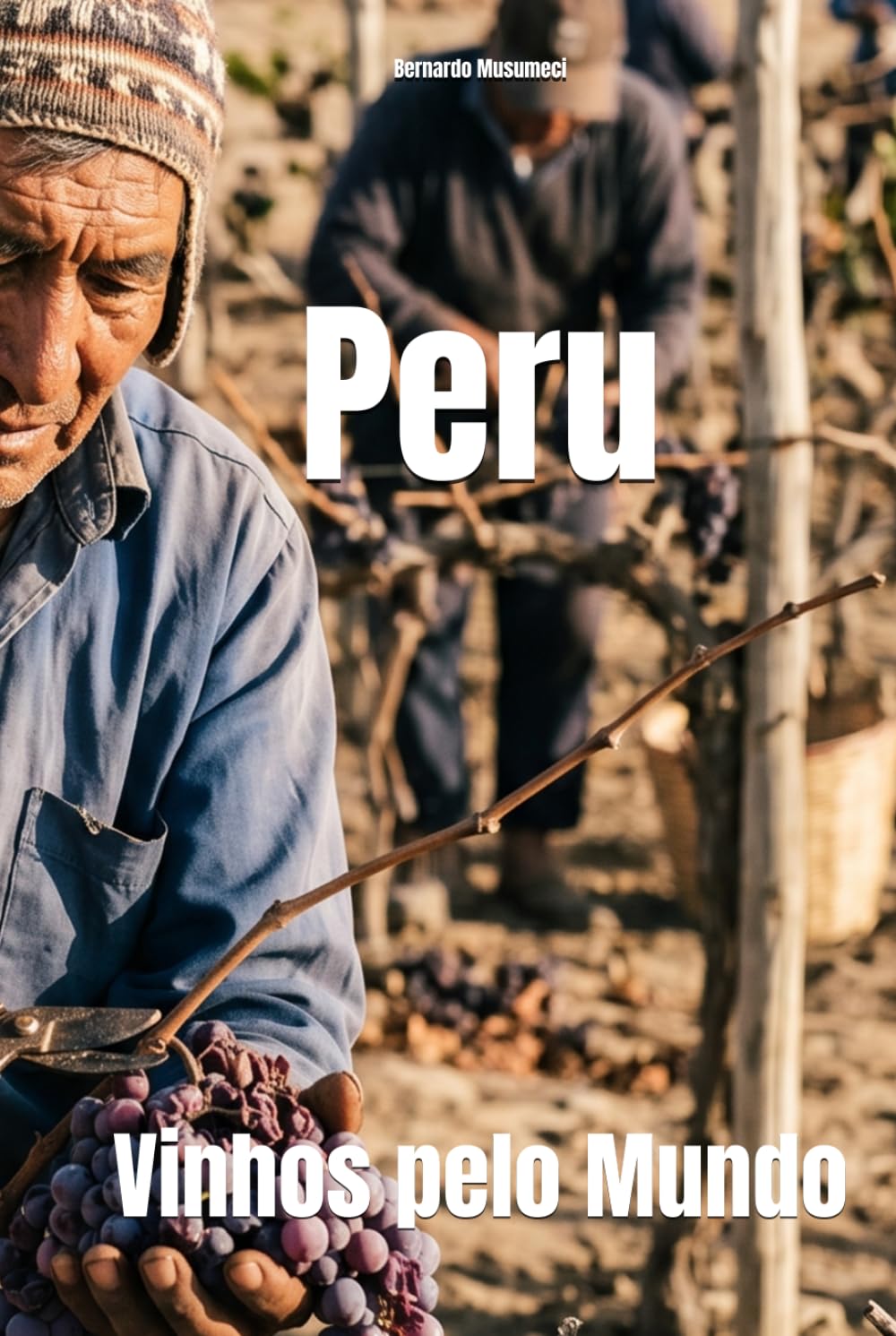 Peru: Vinhos pelo Mundo (Wines of the World) (Portuguese Edition) baixar o livro de graça