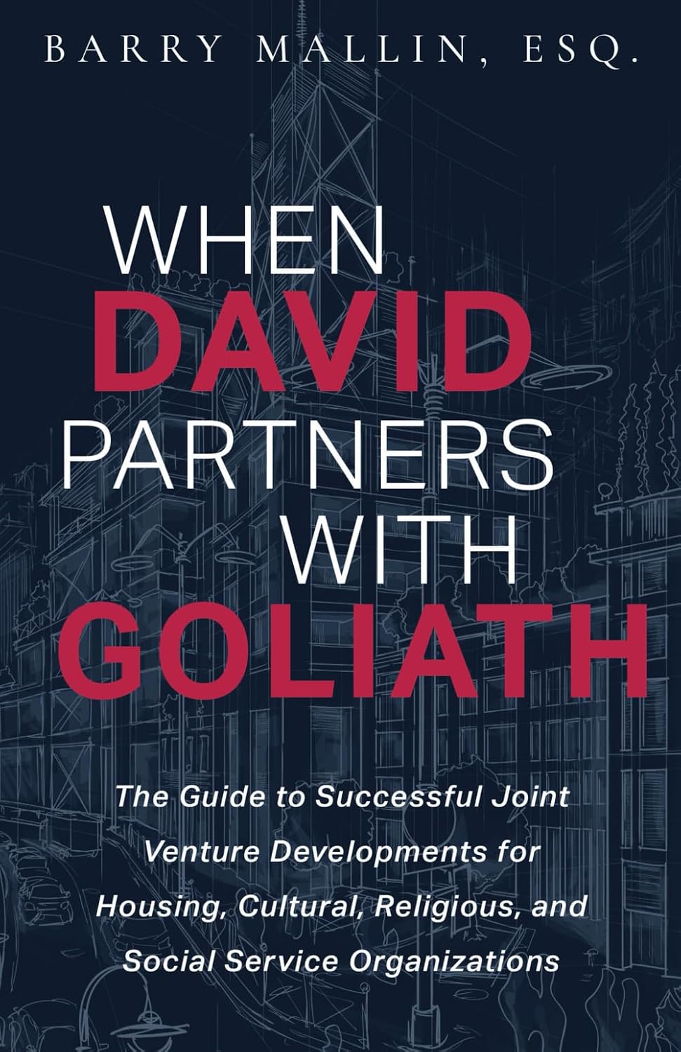 When David Partners with Goliath: The Guide to Successful Joint Venture Developments for Housing, Cultural, Religious, and Social Service Organizations baixar o livro de graça