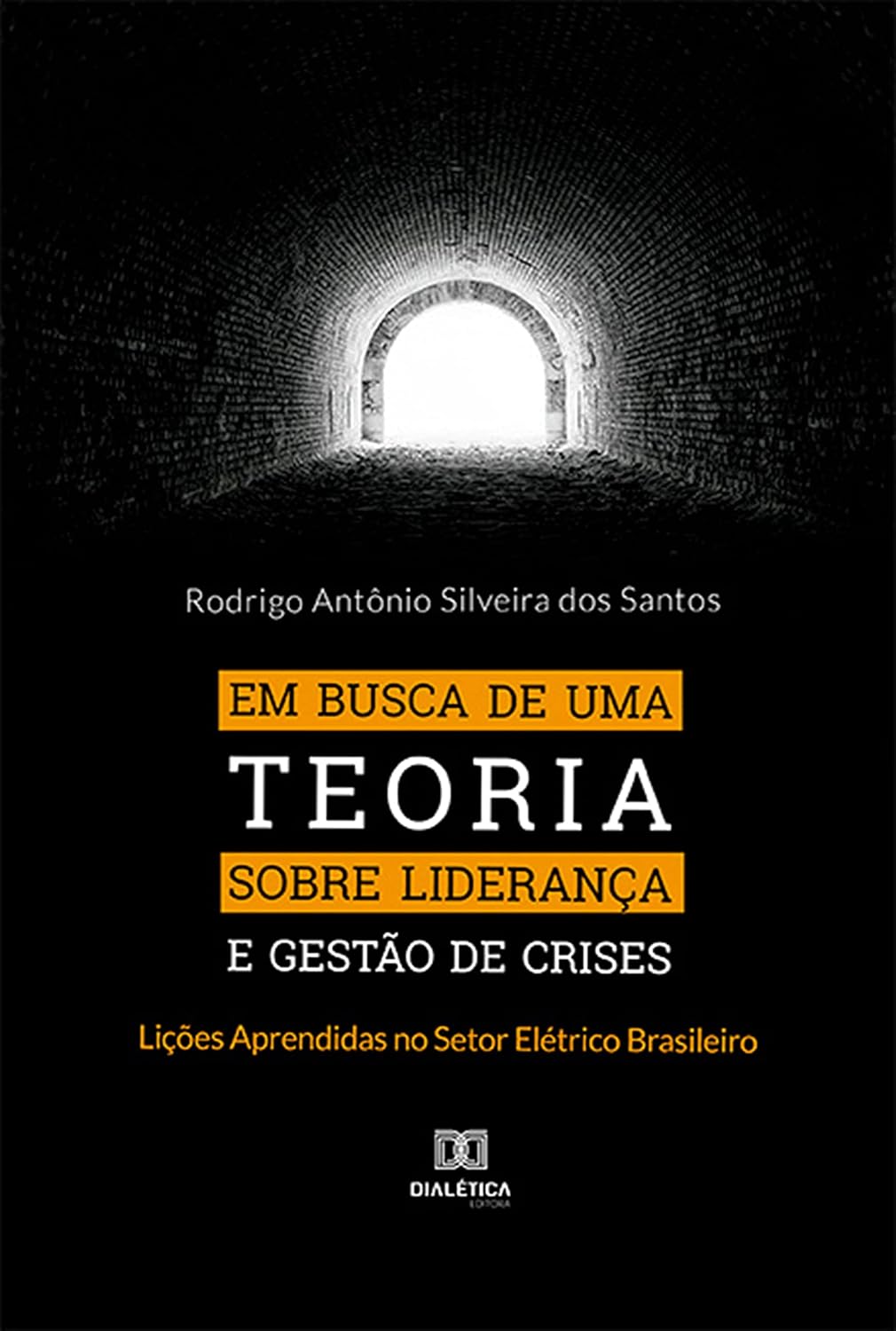 capítulo por capítulo baixar Em busca de uma Teoria sobre Liderança e Gestão de Crises: Lições Aprendidas no Setor Elétrico Brasileiro