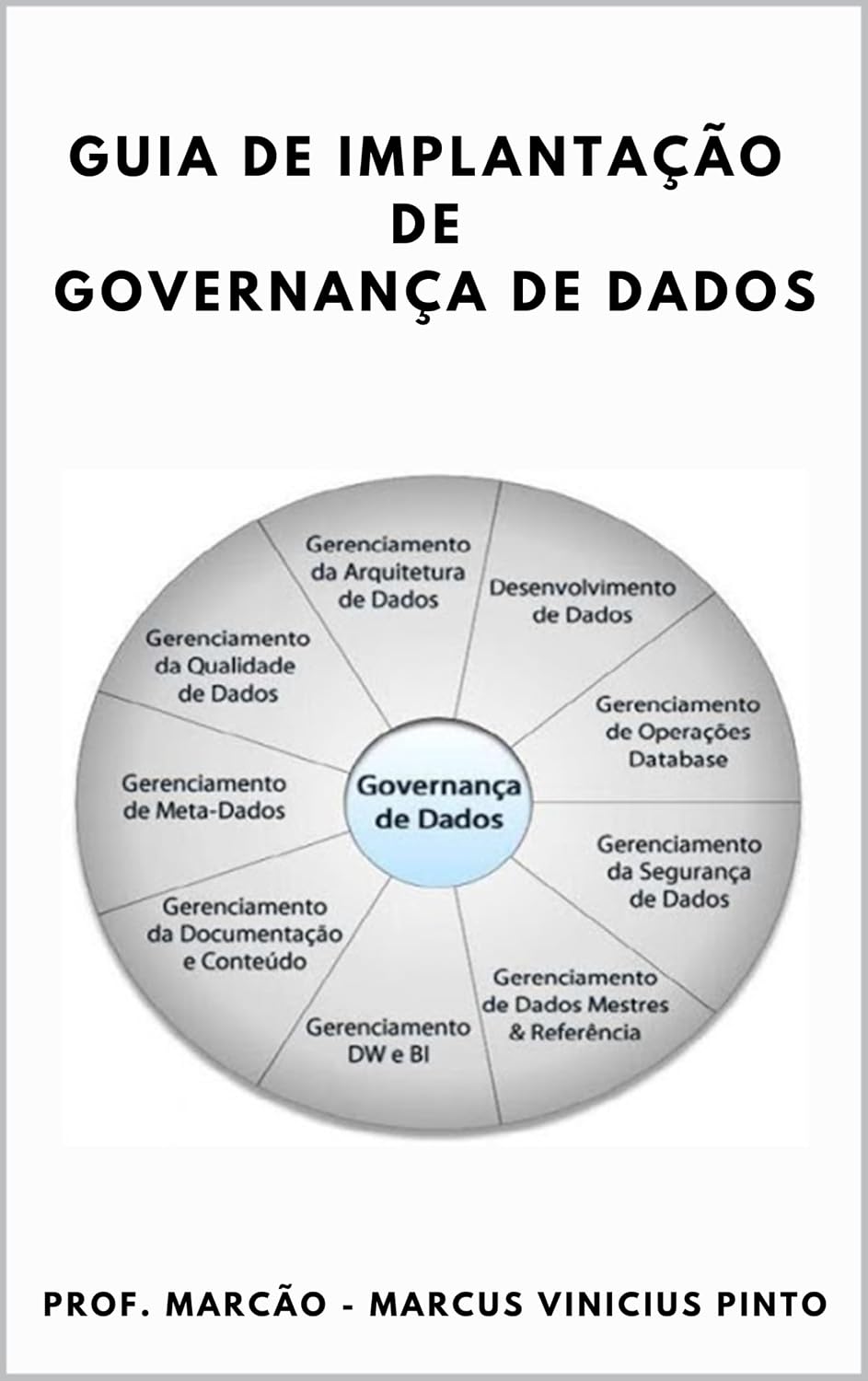 GUIA DE IMPLANTAÇÃO DE GOVERNANÇA DE DADOS (Data Governance Livro 6) baixar livro de graça