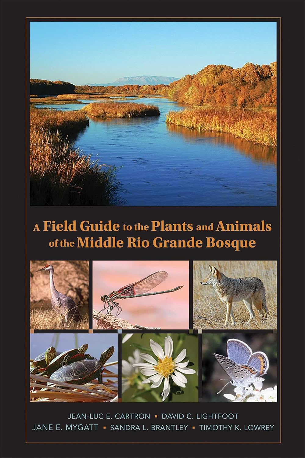 capítulo por capítulo baixar A Field Guide to the Plants and Animals of the Middle Rio Grande Bosque (English Edition)