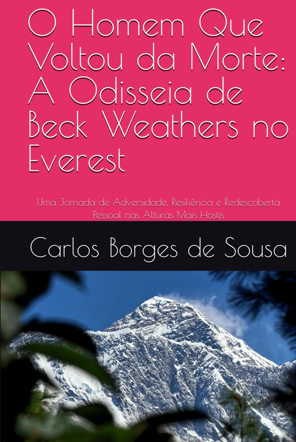O Homem Que Voltou da Morte: A Odisseia de Beck Weathers no Everest: Uma Jornada de Adversidade, Resiliência e Redescoberta Pessoal nas Alturas Mais Hostis baixar livro de graça
