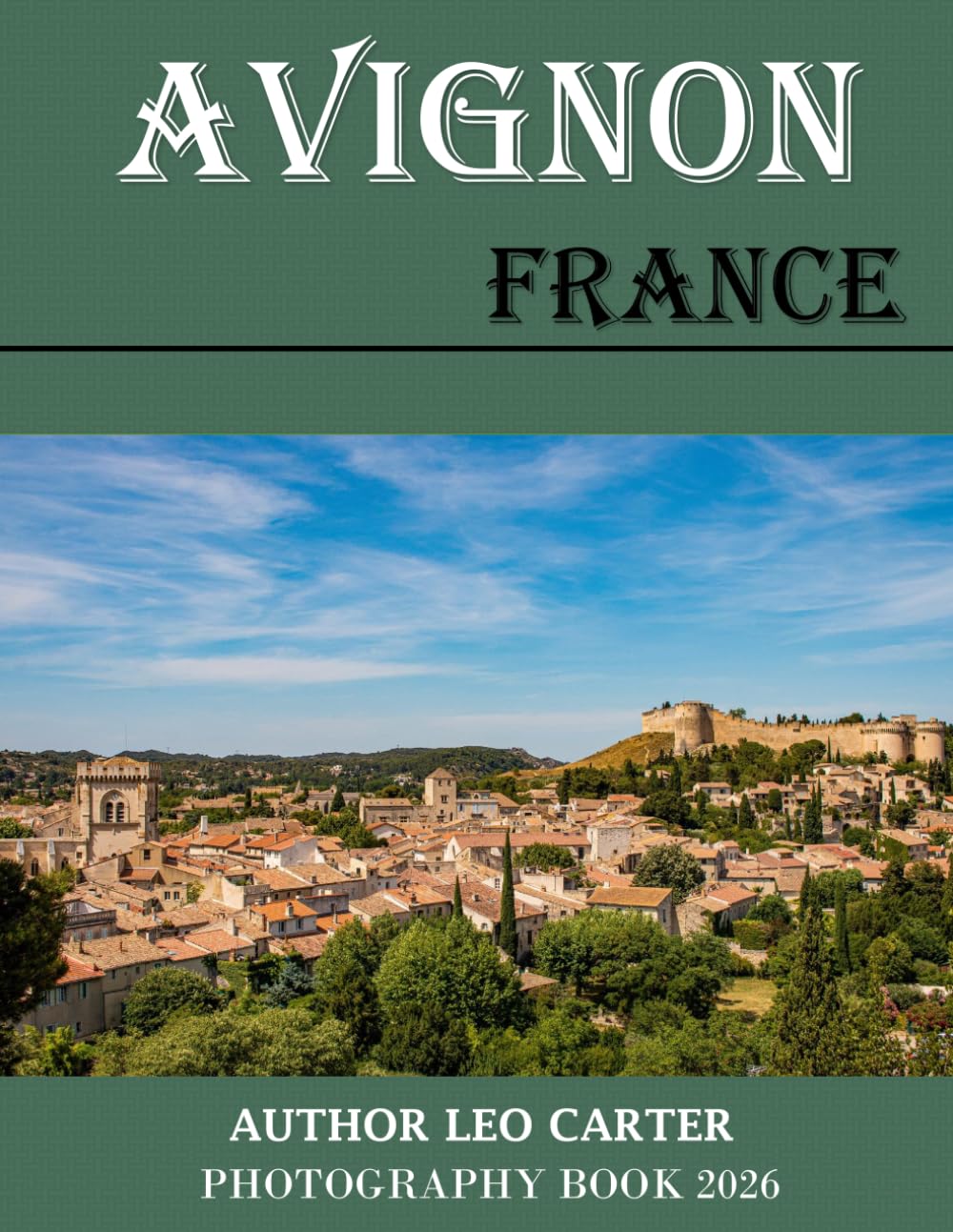 Avignon France: A Collection of 40 Scenic Photographs Showcasing the Avignon France baixar livro de graça