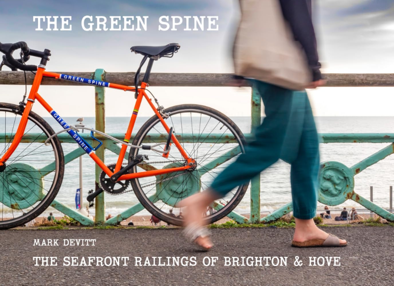 ler totalmente The Green Spine: The Seafront Railings of Brighton & Hove