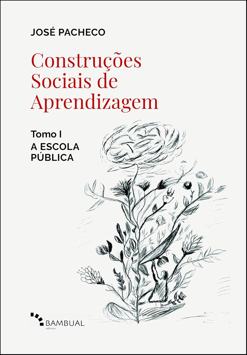 Construções Sociais de Aprendizagem: Tomo I – A ESCOLA PÚBLICA baixar livro de graça