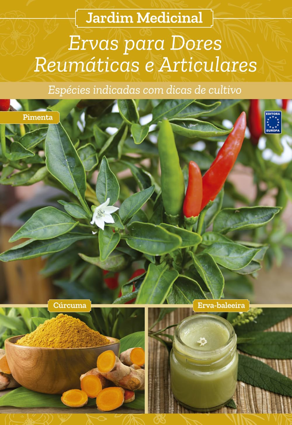 Jardim Medicinal - Volume 9: Ervas para Dores Reumáticas e Articulares baixar livro de graça
