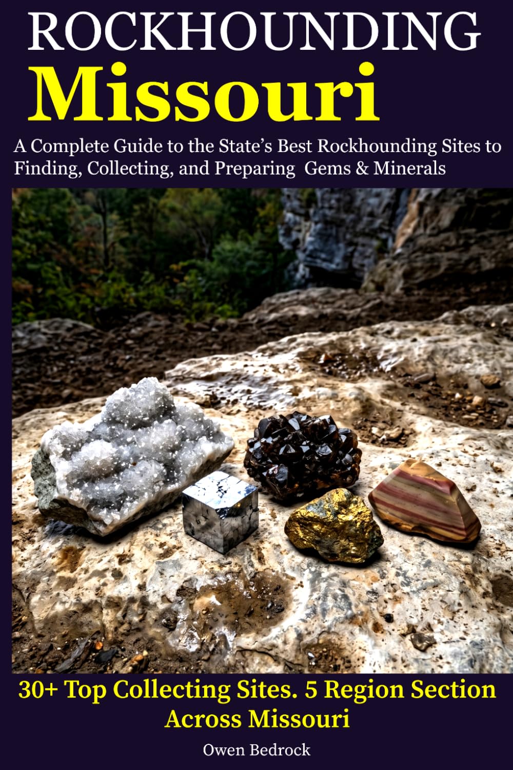 capítulo por capítulo baixar Rockhounding Missouri: A Complete Guide to the State's Best Rockhounding Sites to Finding, Collecting and Preparing Gems & Minerals