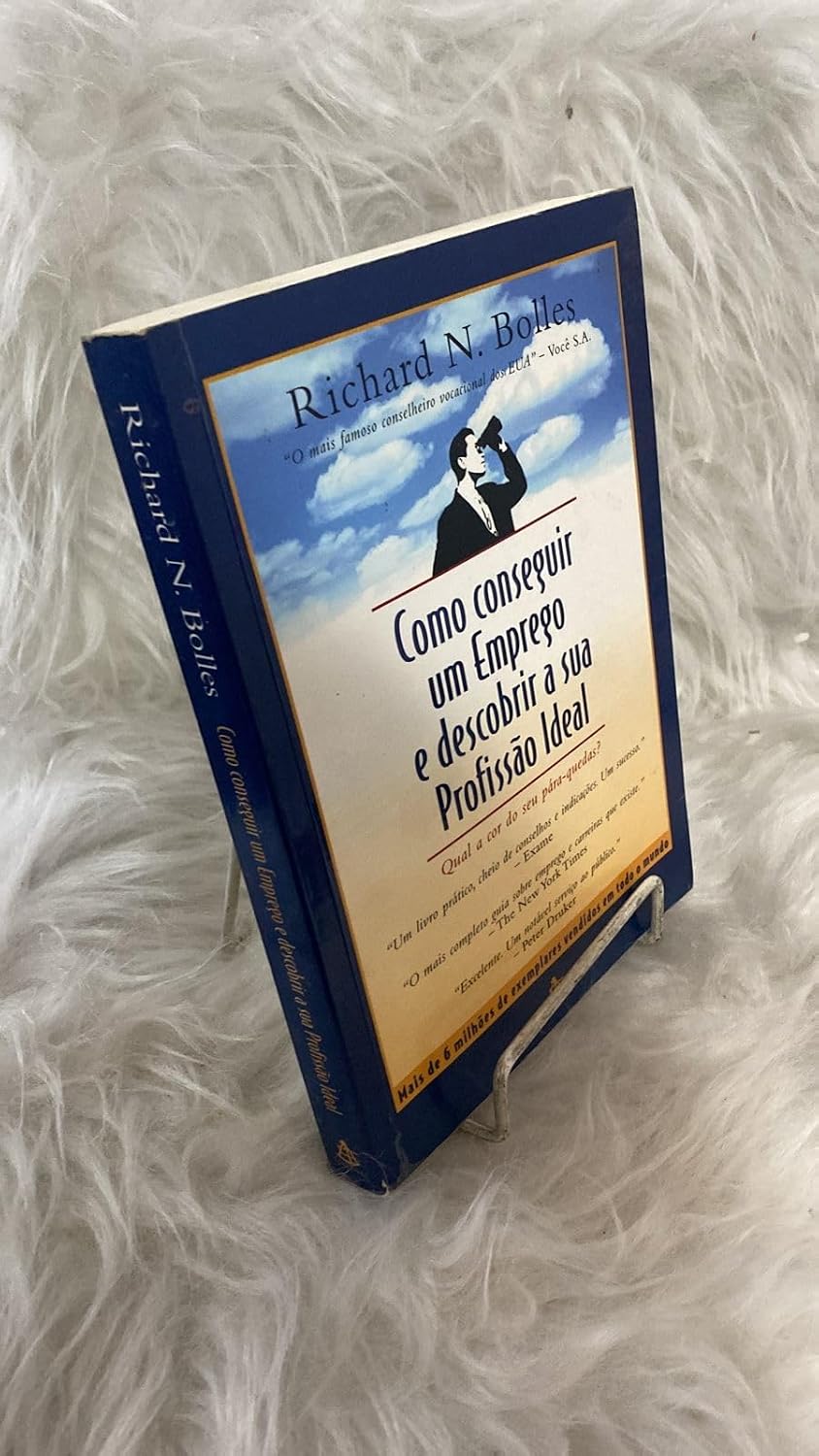 Como Conseguir um Emprego e Descobrir a Sua Profissão Ideal baixar livro de graça