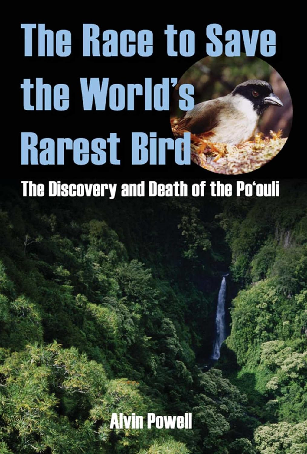 Race to Save the World's Rarest Bird (English Edition) baixar o livro de graça